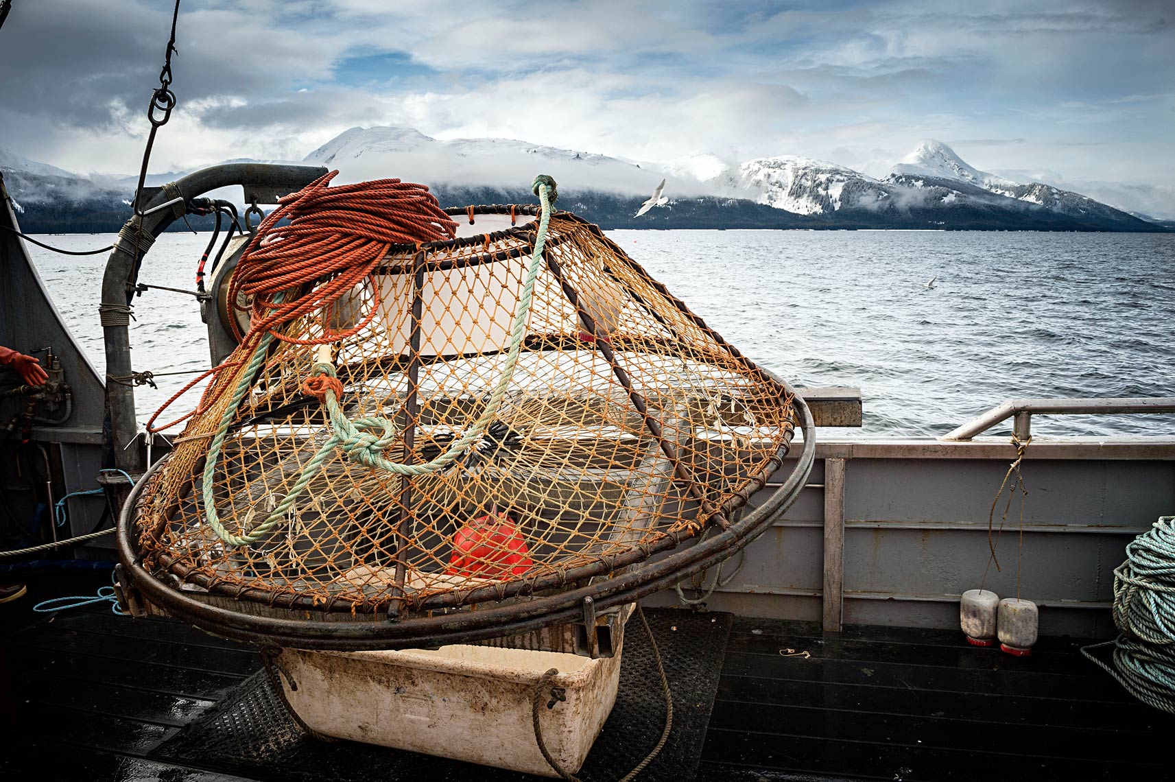GodenKingCrab20141778