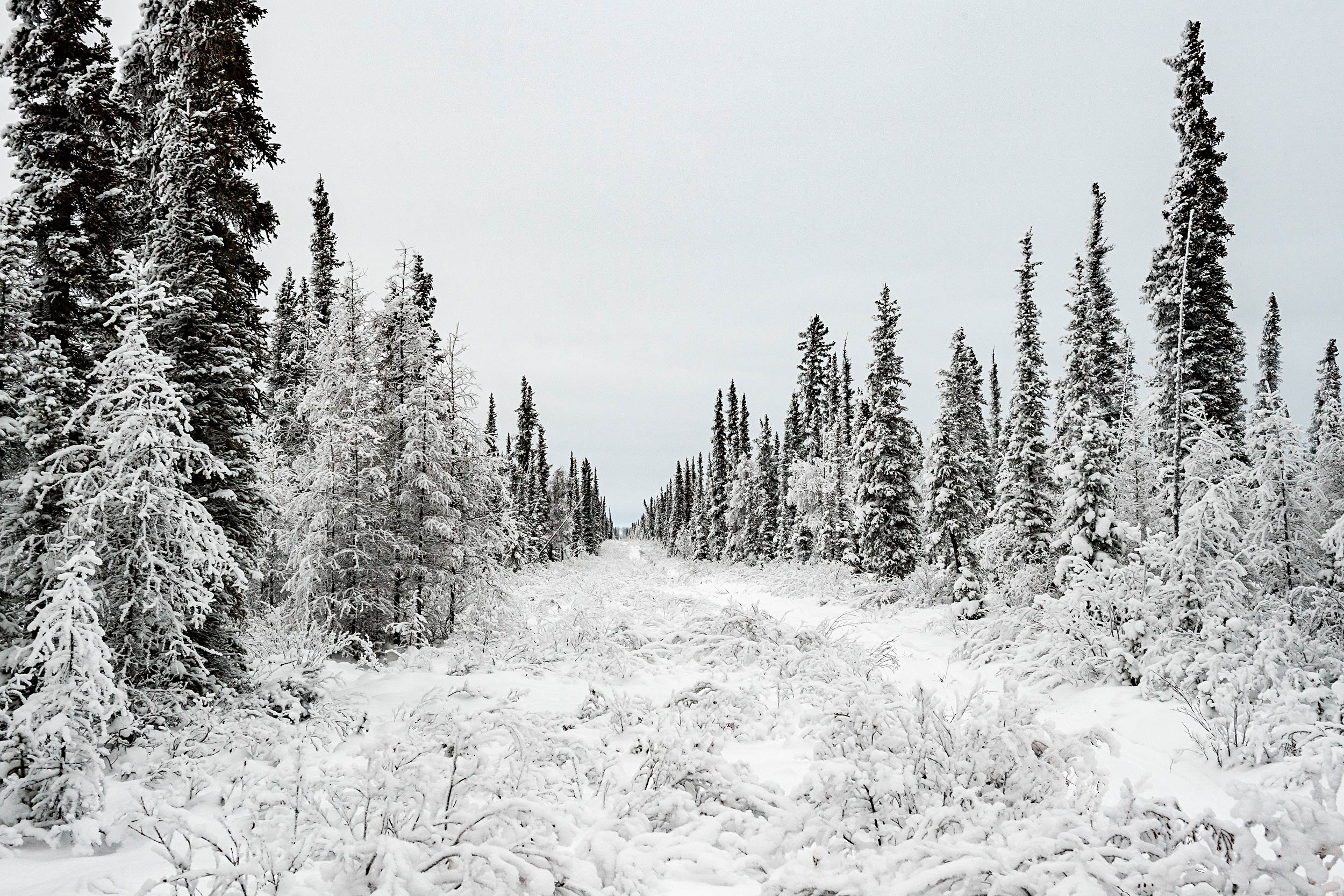 NYTDeline1283